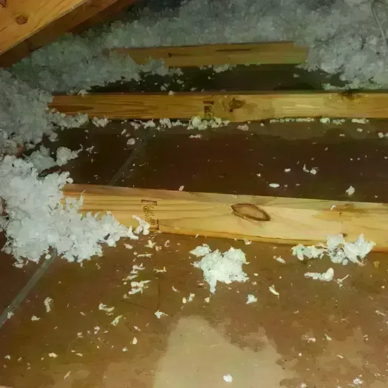 Attic Water Damage in East Machias, ME